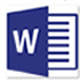 word_icon